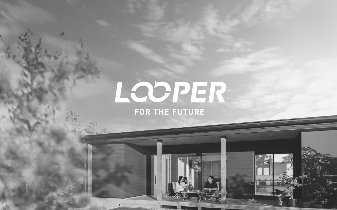 looper1203-1.jpg